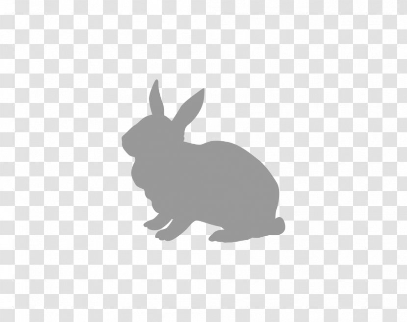 Domestic Rabbit Hare Lionhead Easter Bunny - Tooth Transparent PNG