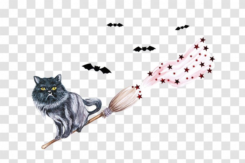 Kitten Whiskers Cat Watercolor Painting - Small To Medium Sized Cats - Hand Painted Cute Witch Transparent PNG