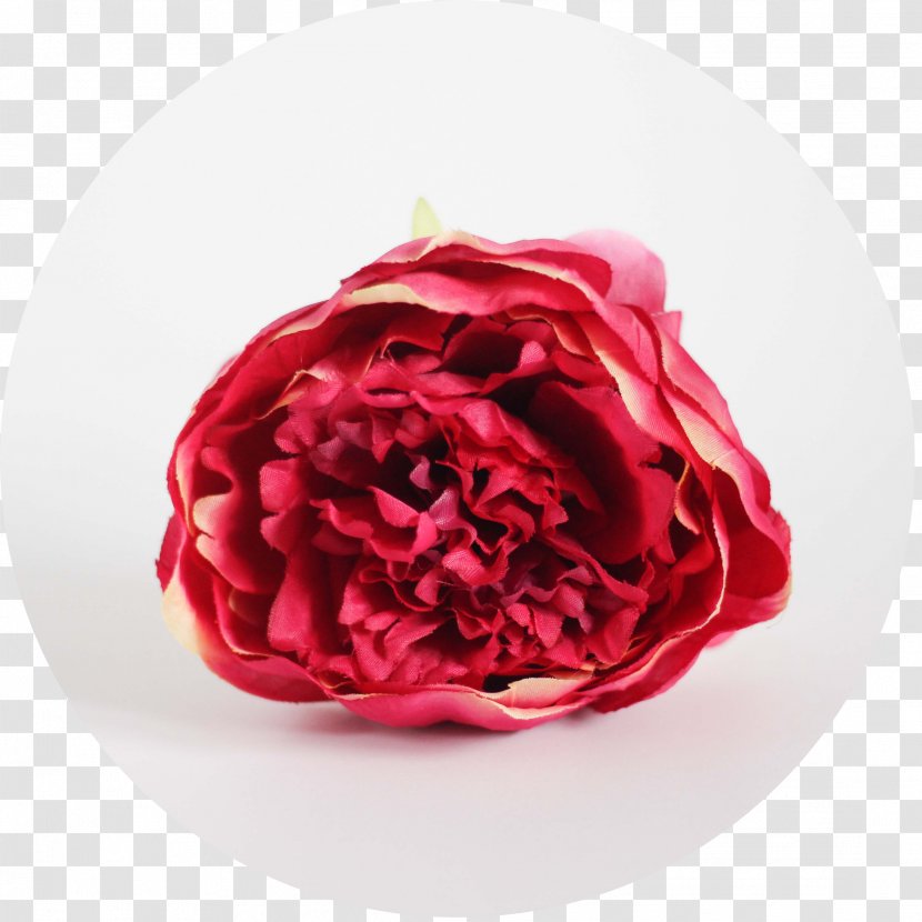 Garden Roses Red Peony Cabbage Rose Green - Order Transparent PNG
