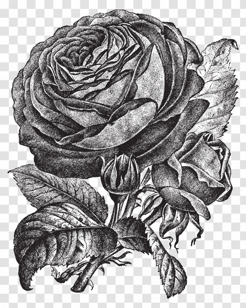 Sleeve Tattoo Drawing Image Art - Single Rose Sketch Transparent PNG