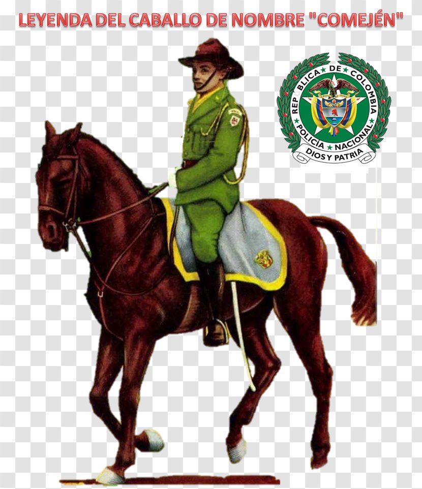 National Police Of Colombia Horse Corps Mounted - Western Riding Transparent PNG