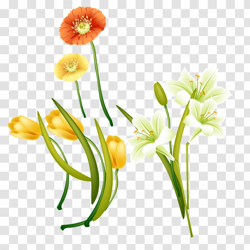 Image Vector Graphics Design - Flower - Desktop Transparent PNG