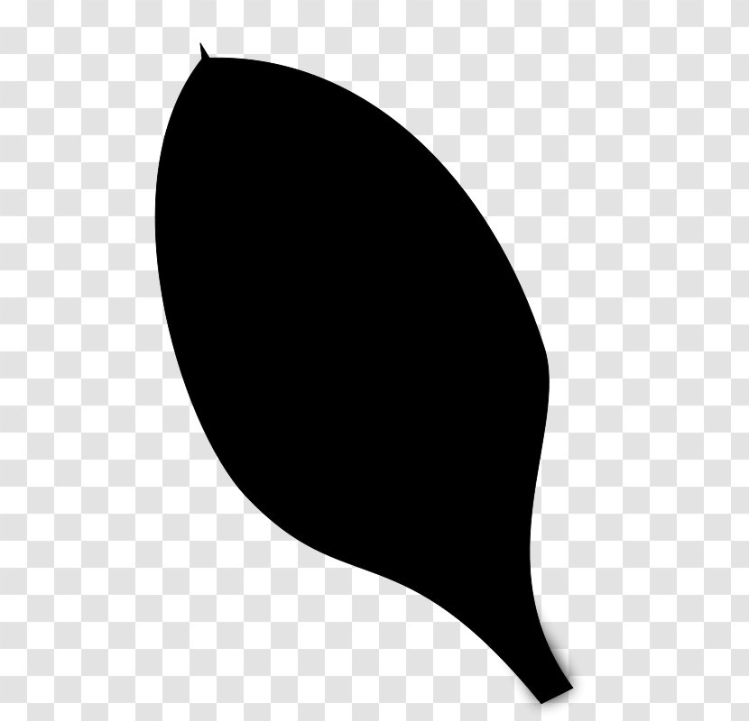 Graphics Product Design Leaf Font - Logo - Black Transparent PNG