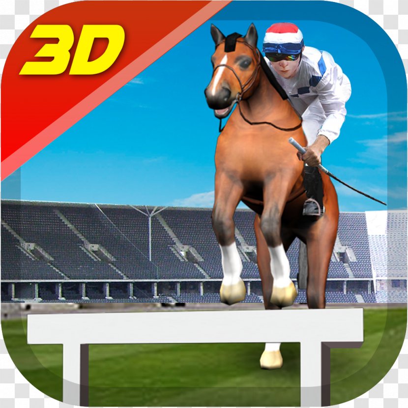 Horse Racing 3D Android Learning English - Hurdle - Race Transparent PNG