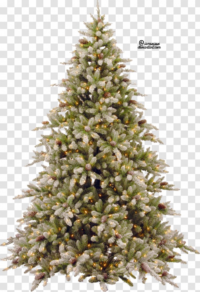 Christmas Tree - Balsam Hill - Fir-Tree Pic Transparent PNG