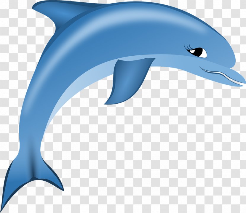 Alhambra Child - Mammal - Dolphin Transparent PNG