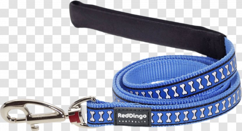 Leash Dog Collar Dingo Grooming - Blue Transparent PNG