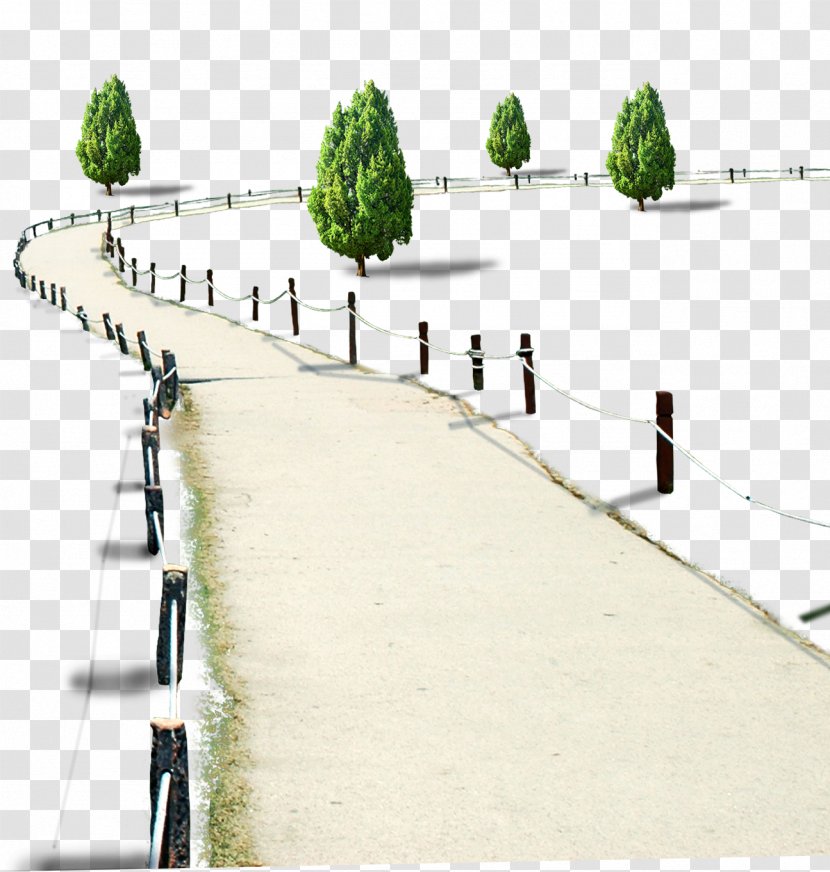 Tree Computer File - Walkway - Roads And Trees Transparent PNG