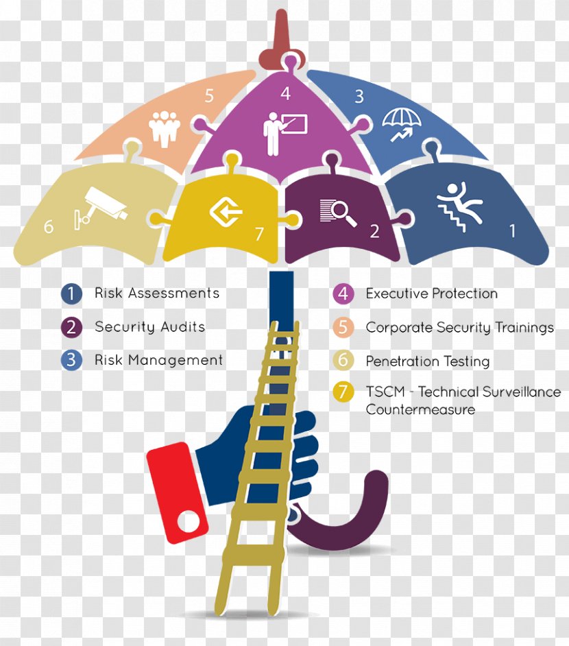 Umbrella Insurance Infographic Diagram Clip Art - Information - Funny Compliance Auditor Transparent PNG