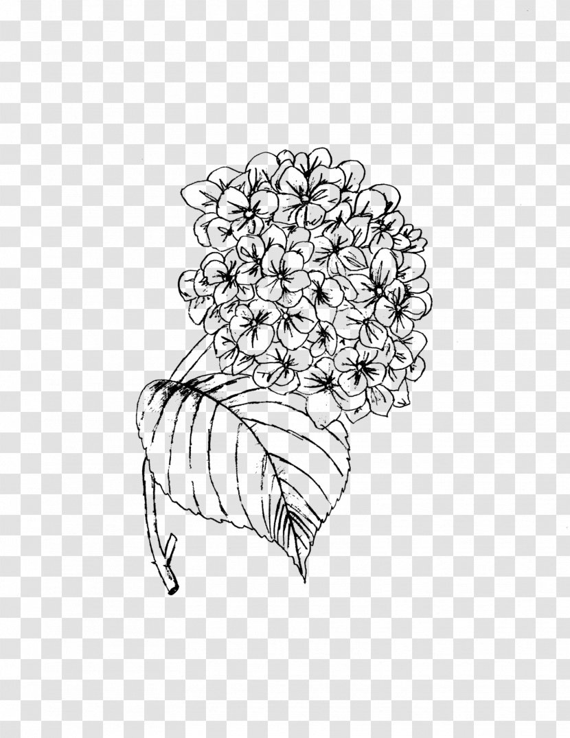 Flower Line Art - Hydrangea Brooch Transparent PNG