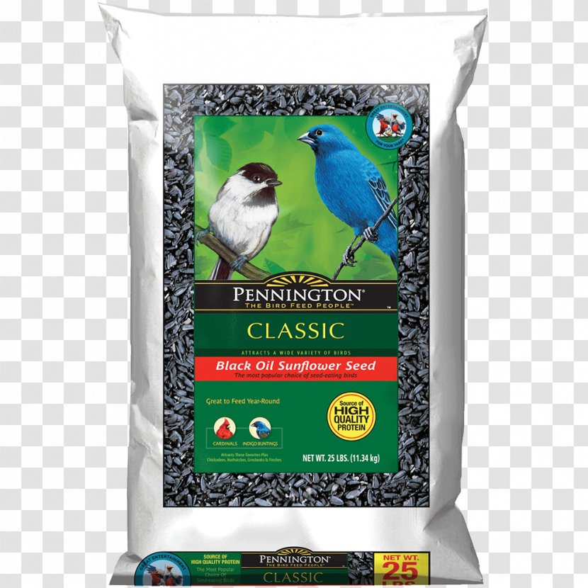 Bird Food Ant Amdro Bait - Pound - Camellia Oleifera Seed Oil Transparent PNG