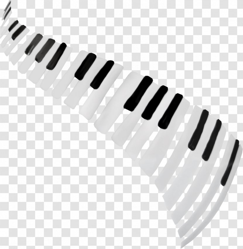 Musical Keyboard Piano Instruments - Frame Transparent PNG
