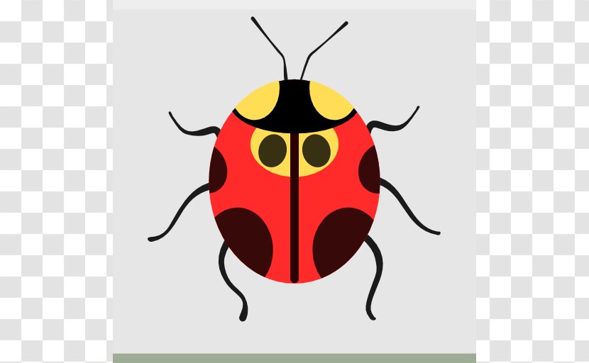 Ladybird Cartoon Font - Beetle - Apps Bug Buddy Transparent PNG