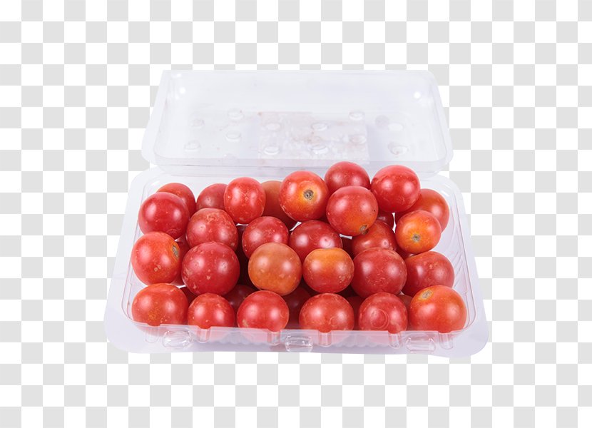Plum Tomato Bush Cherry Celebrity Vegetable - Nightshade Family Transparent PNG