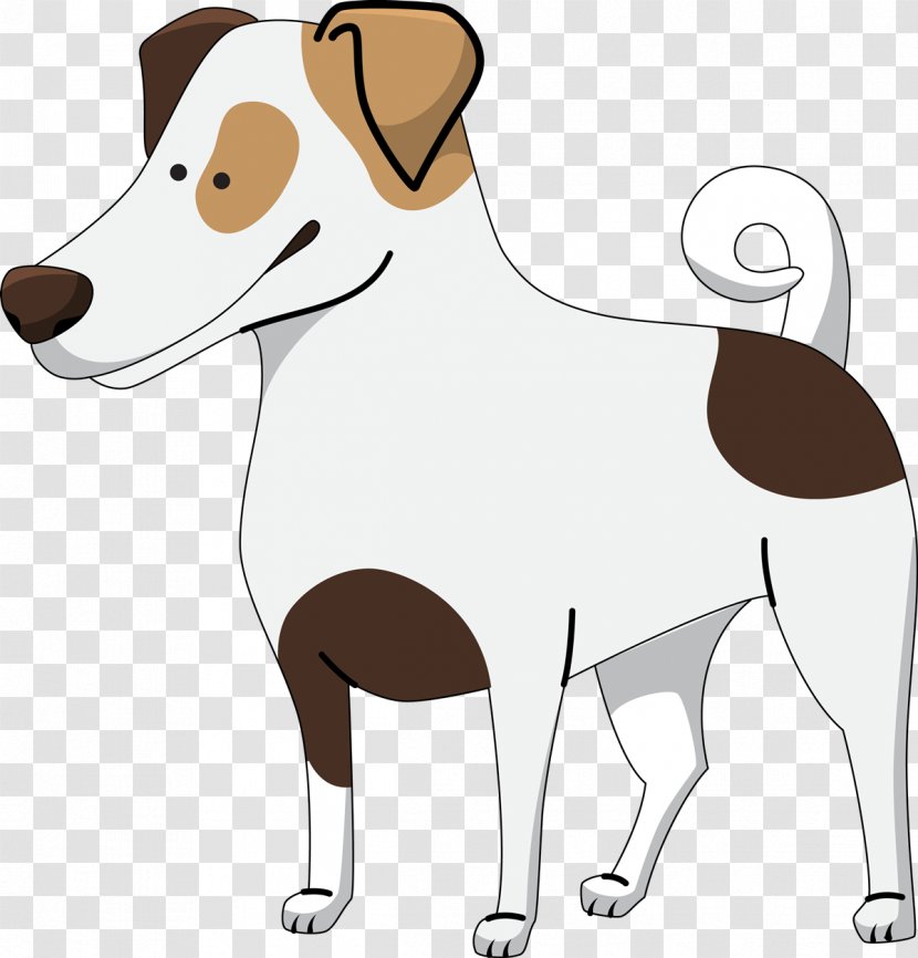 Jack Russell Terrier Boston Yorkshire Scottish Puppy - Royaltyfree Transparent PNG