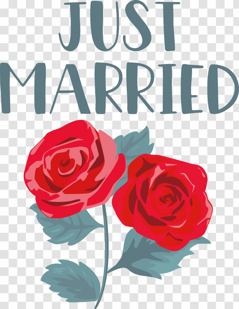 Just Married Wedding Transparent PNG