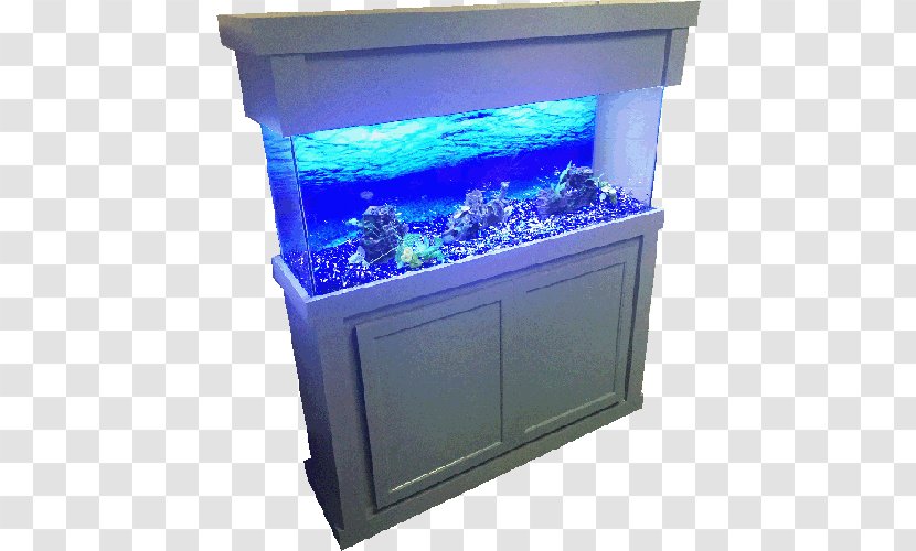 Birch Aquarium Business Cabinetry Sales - Fish Tank Transparent PNG