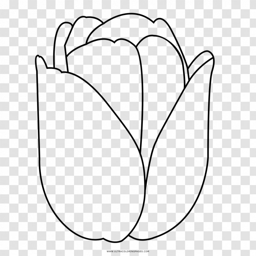 Tulip Petal Drawing Black And White - Heart Transparent PNG