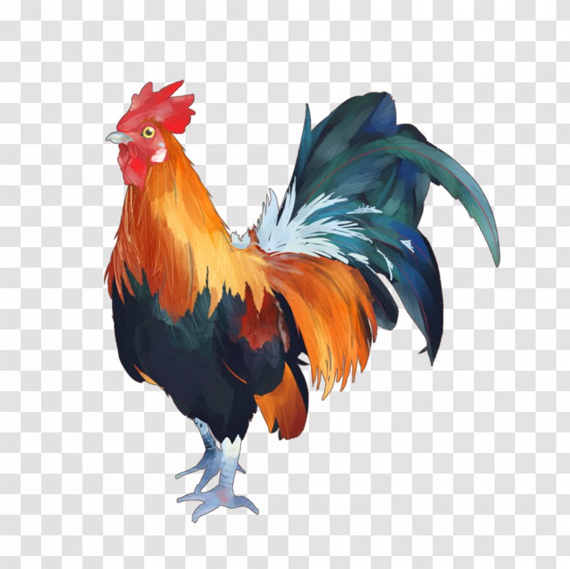 Illustrator Art Book Chicken Bird - Livestock - Rooster Transparent PNG