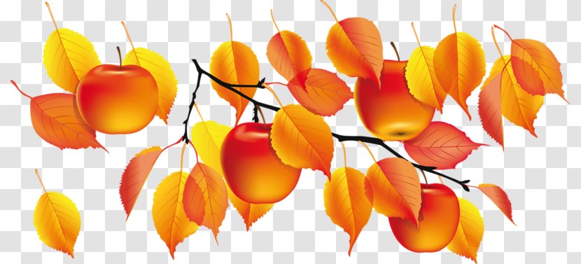 Golden Autumn Clip Art - Orange Transparent PNG