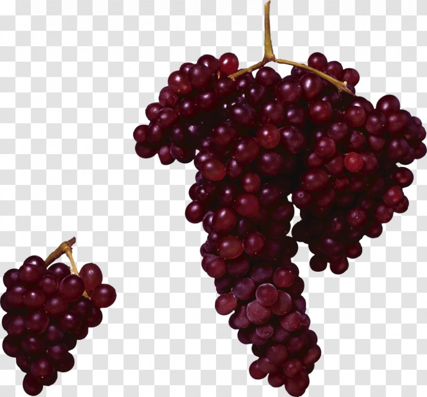 Common Grape Vine Red Wine Concord - Tayberry Transparent PNG
