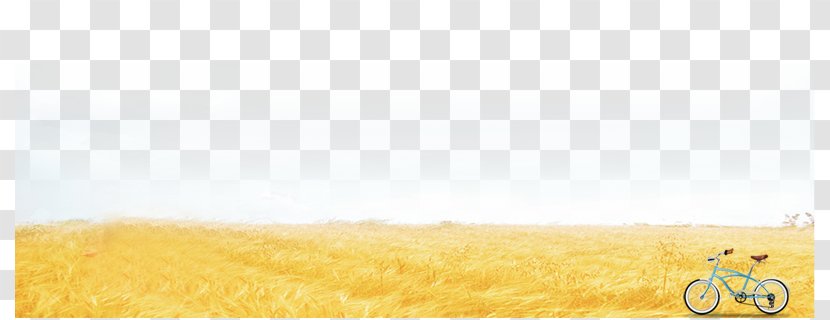 Brand Yellow Material Font - Text - Autumn Grass Transparent PNG