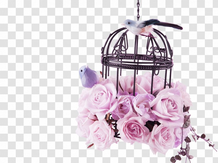 Birdcage Pastel Flower - Bouquet - Pink Rose Bird Cage Decoration Pattern Transparent PNG