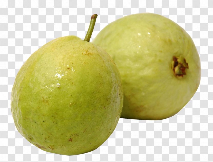 Guava Fruit Clip Art - Vegetable - File Transparent PNG