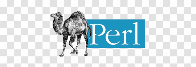 Perl Dynamic Programming Language Scripting Computer - Brand Transparent PNG