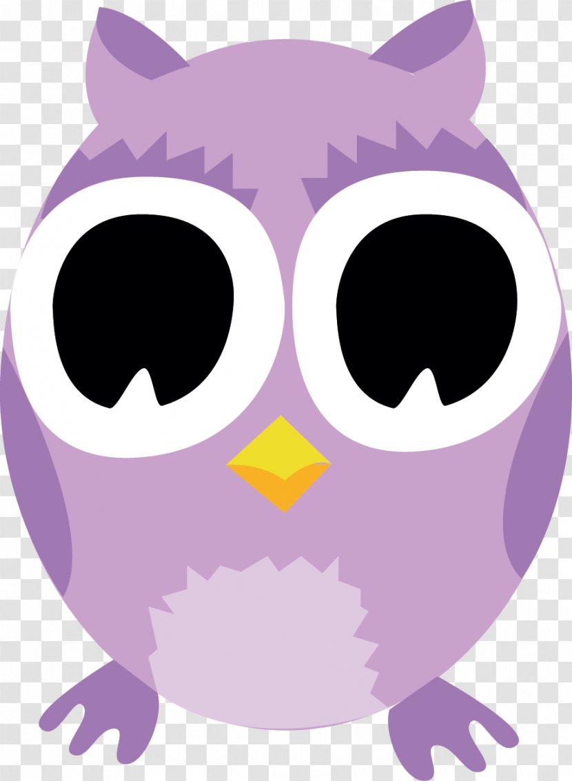 Owl Clip Art Illustration Beak Snout - Nose Transparent PNG