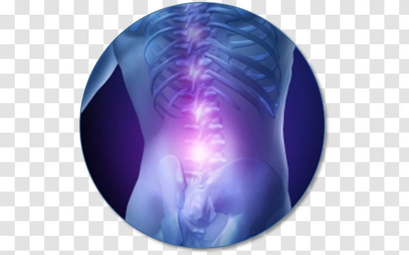 Pain Sacroiliac Back Spinal Disc Herniation Therapy Vertebral Column Transparent PNG