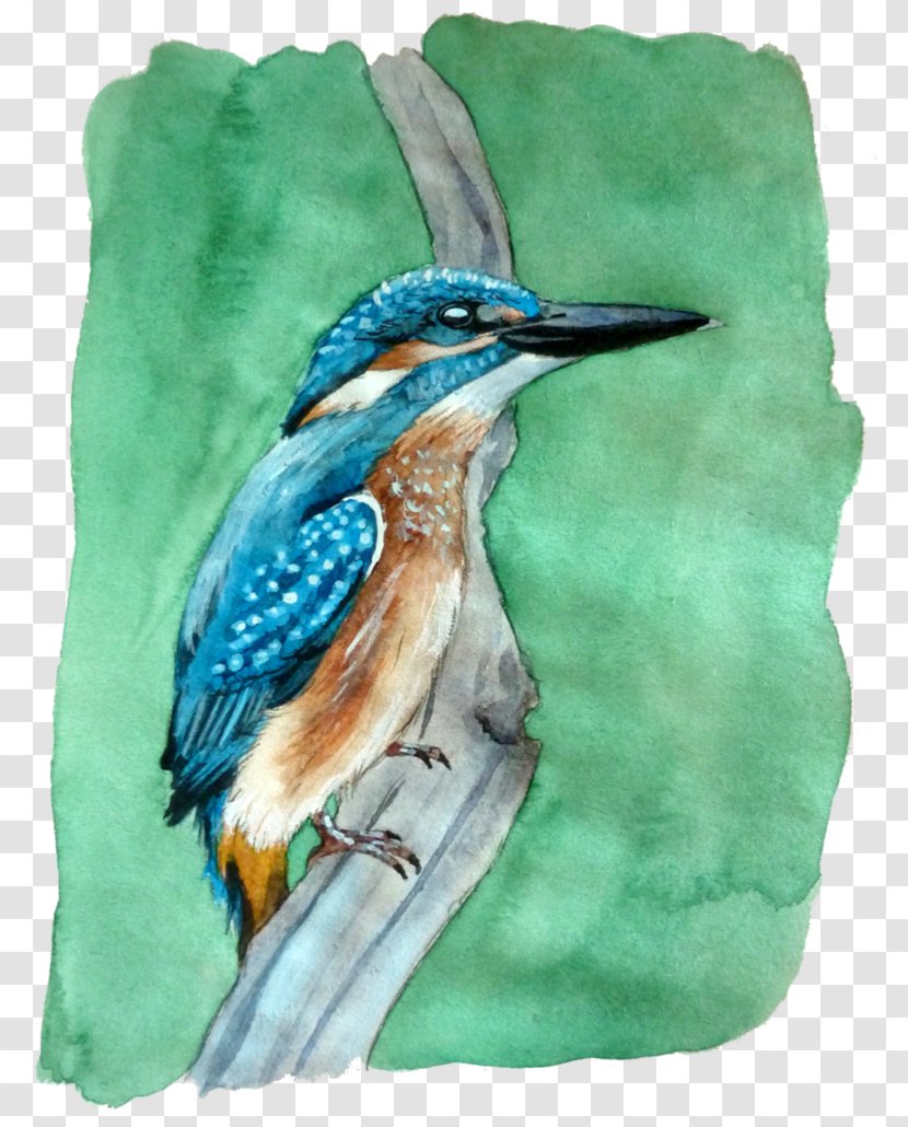 Watercolor Painting Beak Fauna Transparent PNG