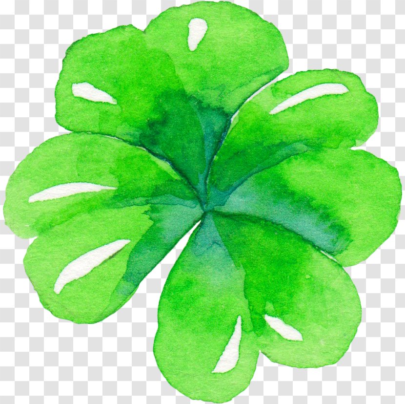 Green Four-leaf Clover - Shamrock Transparent PNG