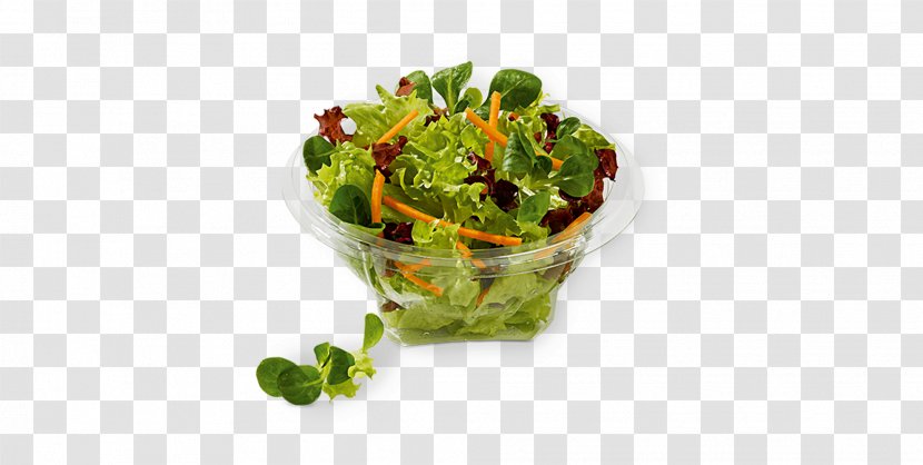 KFC Salad Leaf Vegetable Bacon - Burger King - Yoghurt Transparent PNG