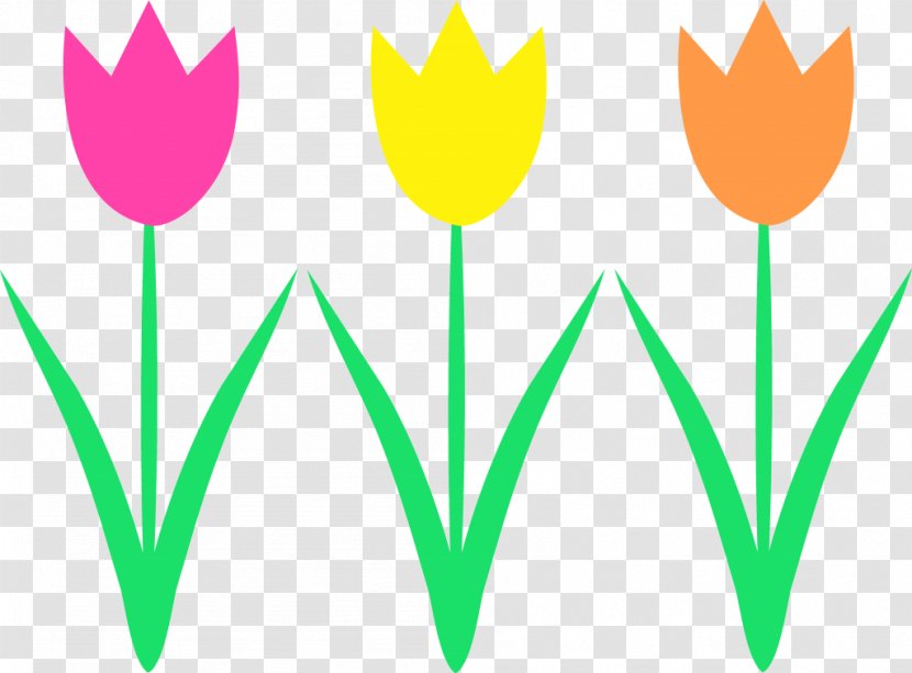 Flower Spring Free Content Clip Art - Photography - Tulips Images Transparent PNG