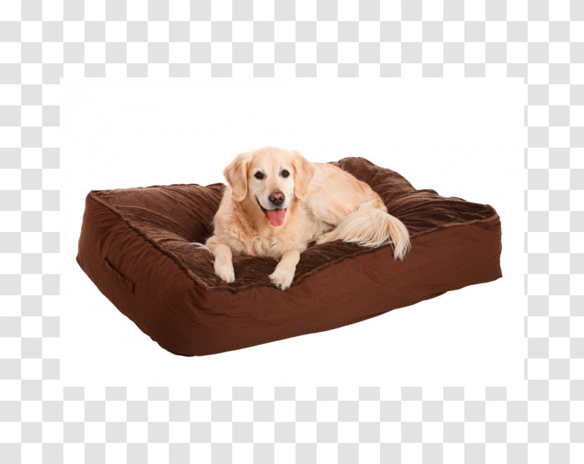 Dog Bed Puppy Mattress Pet - Bet Transparent PNG