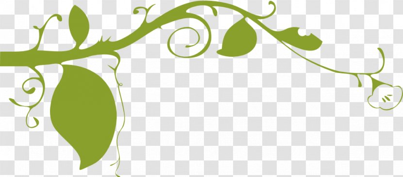 Vine Clip Art - Pixabay - Graphics Of Flowers Transparent PNG
