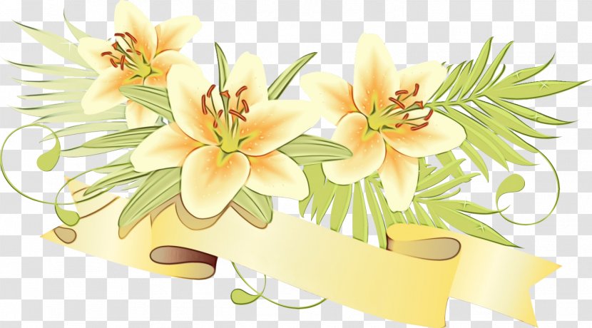 Floral Design - Plant Transparent PNG