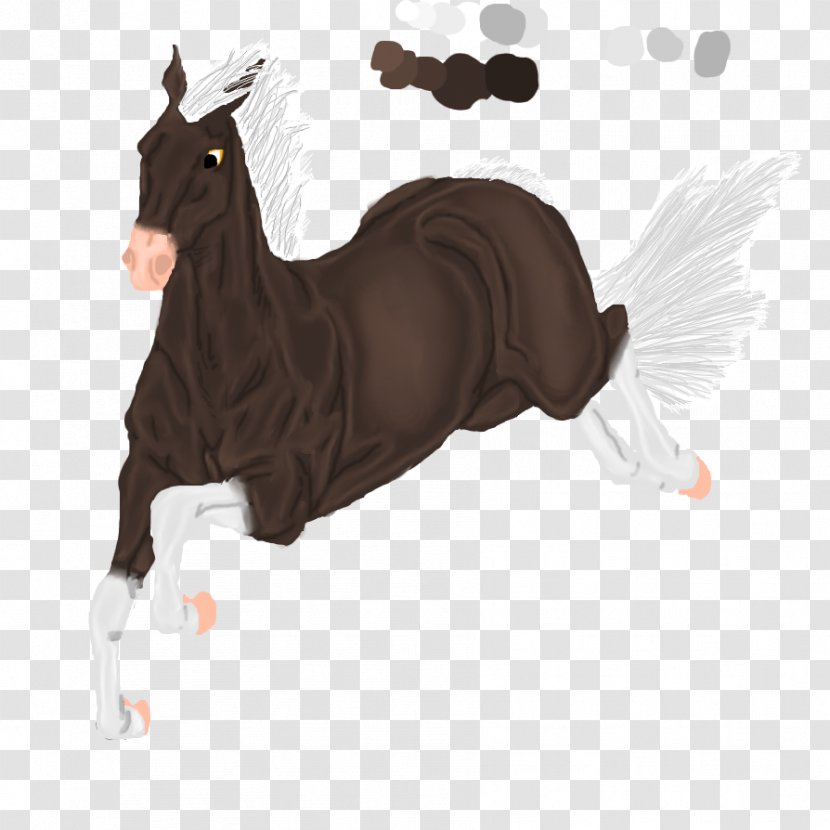 Mustang Pony Pack Animal Mane Halter - Horse Like Mammal - Galloping Transparent PNG