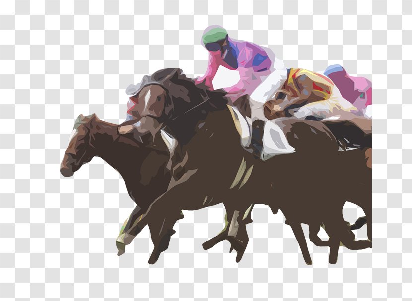 Horse Racing Professional Sports Athlete Football Player - Lawyer - Trainer Transparent PNG