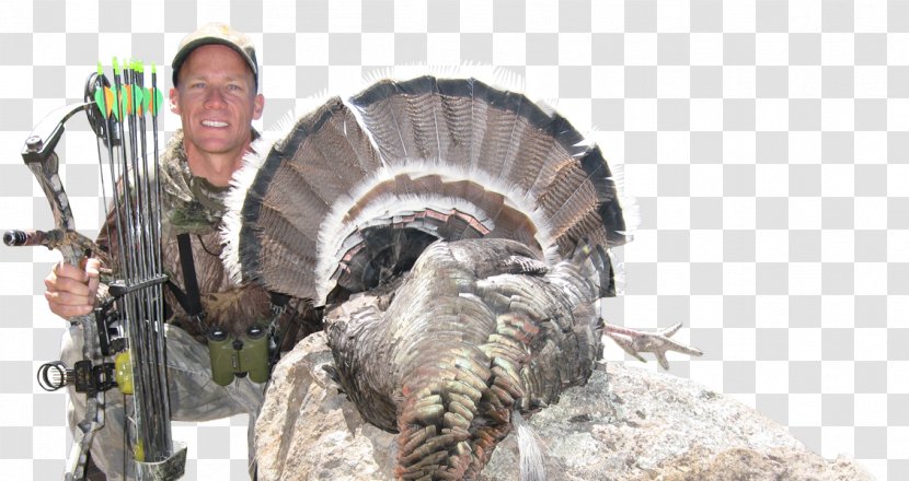 Turkey Hunting Call Domesticated - Interview Transparent PNG