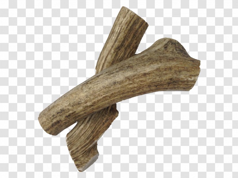 Wood - Antler Transparent PNG