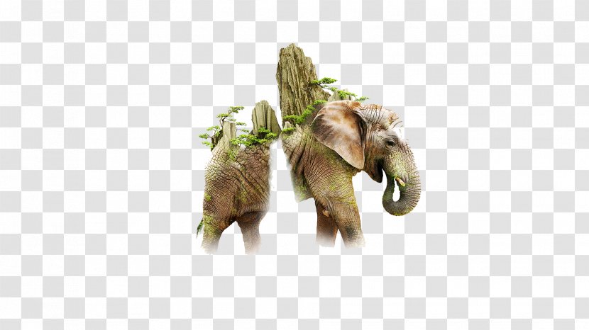 IPhone 6s Plus Collage Multiple Exposure Photomontage Wallpaper - Grass - Effects Elephant Transparent PNG