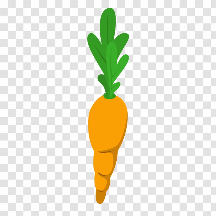 Carrot Vegetable - Tomato - Creative Transparent PNG