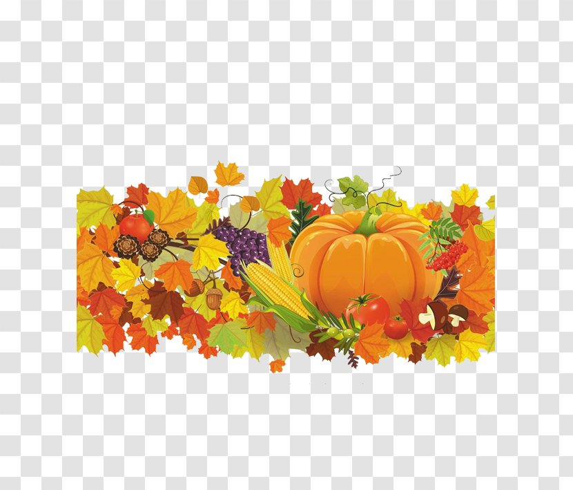 Thanksgiving Party Clip Art - Vegetable - Corn Leaves Illustrations Hand-painted Big Harvest Autumn Transparent PNG