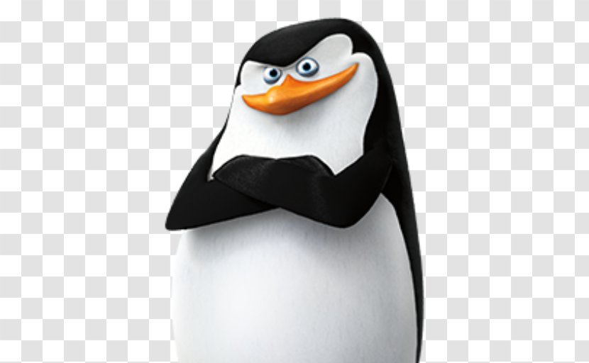 Skipper Kowalski Penguin Madagascar Television Transparent PNG