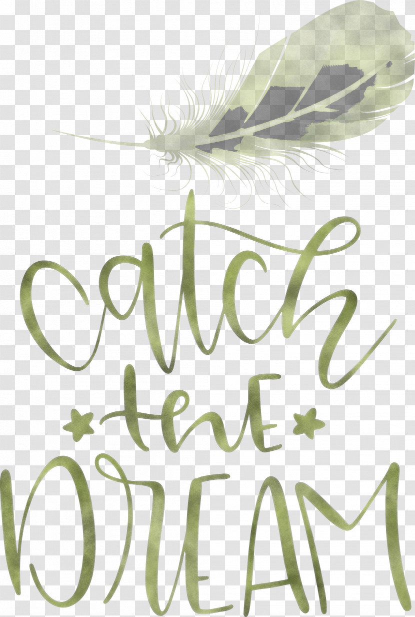 Catch The Dream Dream Transparent PNG