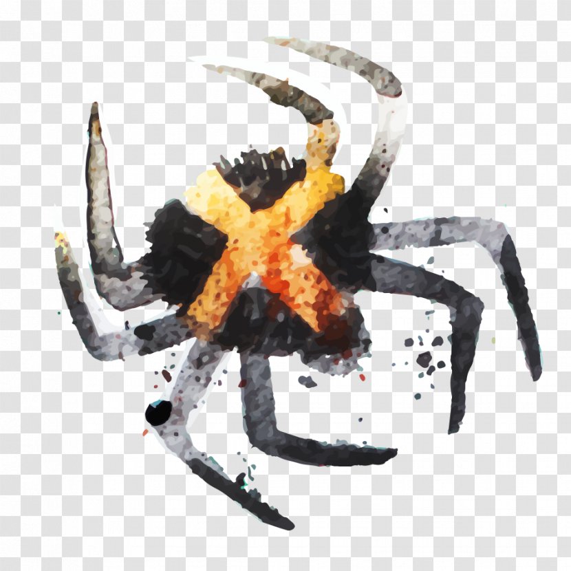 Spider - Resource - Art Transparent PNG