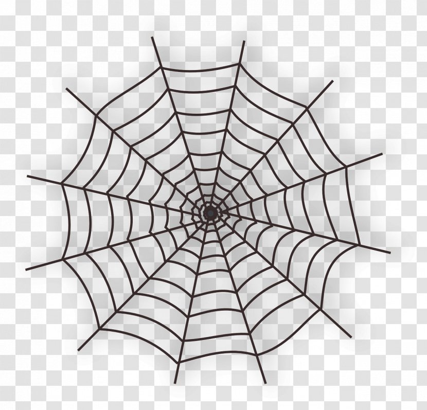Spider Web Clip Art - Invertebrate Transparent PNG