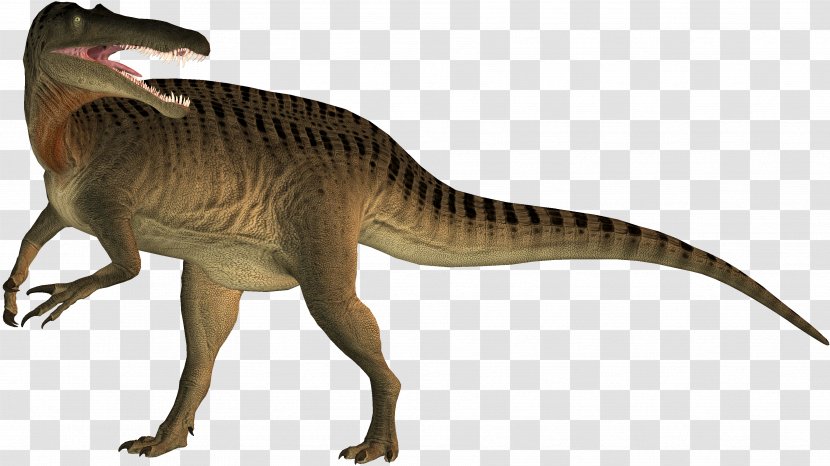 Suchomimus Tyrannosaurus Dinosaur Velociraptor Spinosaurus - Jurassic World Transparent PNG